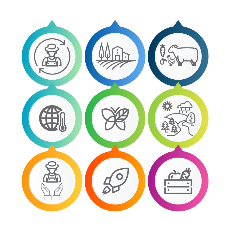 cmef_indicators